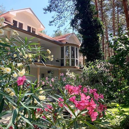 Vila Dunavski Raj Golubac Exterior photo